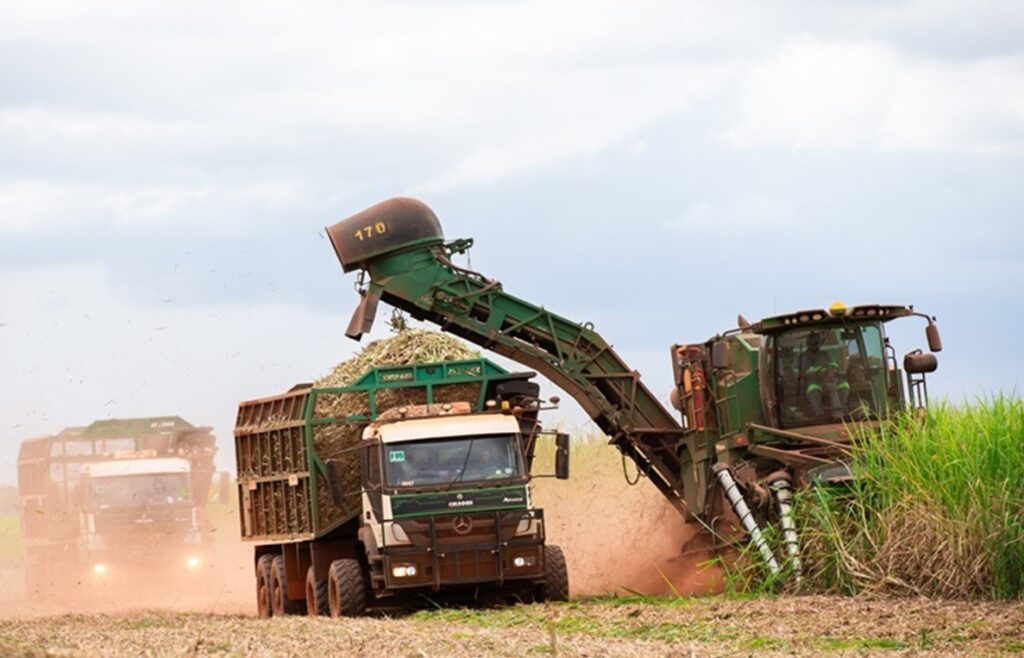 Agro reage a críticas dos EUA e tenta evitar inclusão em tarifaço
