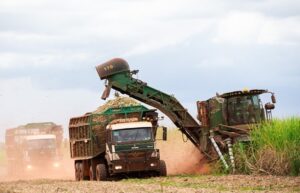 Agro reage a críticas dos EUA e tenta evitar inclusão em tarifaço