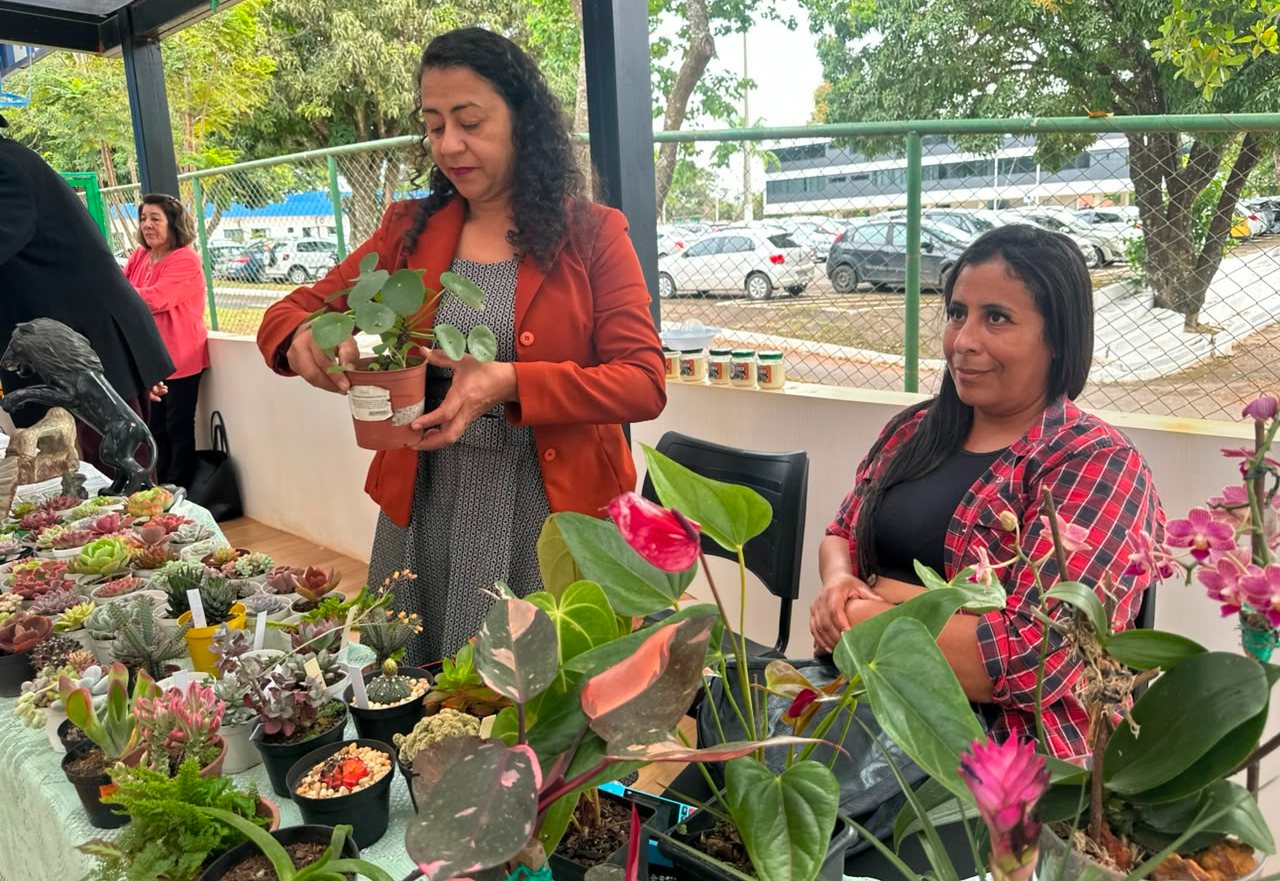 Feira junina dos Consegs rurais valoriza agricultura familiar no DF
