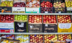 Índice de preços dos alimentos da FAO fica praticamente estável em maio