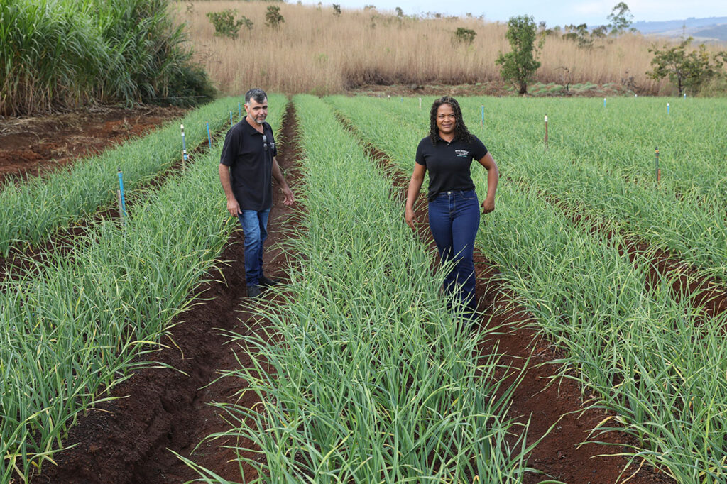 DF: Mais de 1,2 mil projetos e R$ 67 milhões em crédito rural desde 2019
