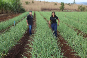 DF: Mais de 1,2 mil projetos e R$ 67 milhões em crédito rural desde 2019