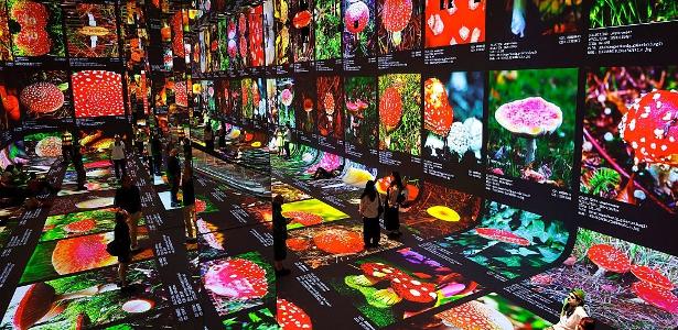 Dataland abre em Los Angeles como museu de artes com IA