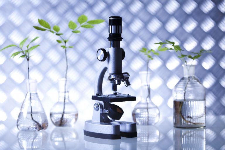 Plantas em vasos de vidro com água e um microscópio em cima de uma mesa