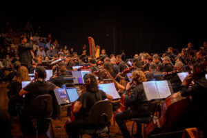 Distrito Federal cria Dia do Profissional da Música