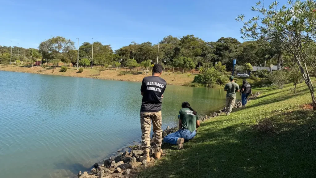 Profissionais vasculhando lago - (Foto: reprodução/Corpo de Bombeiros)