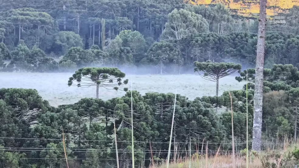 Inmet prevê queda de temperatura e chance de geada no Sul
