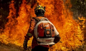 El Niño entre junho e agosto; veja consequências em Goiás