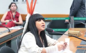 Deputada Célia Xakriabá (Psol-MG) fala em comissão da Câmara dos Deputados