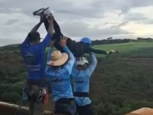 União havia pedido bloqueio da Ponte do Esqueleto antes de morte