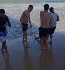 ‘Fomos tomar um caldinho e se divertir’, diz primo de mulher mordida por tubarão no Recife