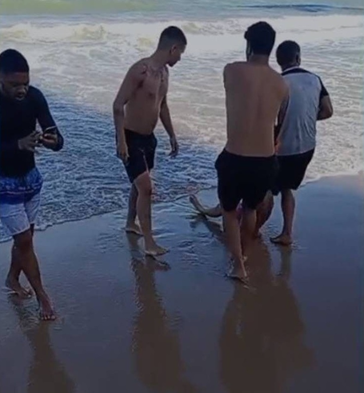 ‘Fomos tomar um caldinho e se divertir’, diz primo de mulher mordida por tubarão no Recife