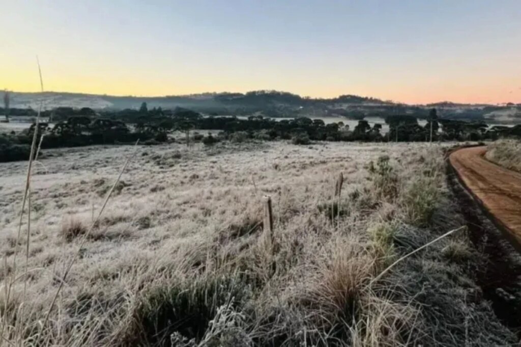 Município de GO marca 8ºC e bate recorde do ano em baixas temperaturas