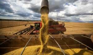 Plano da China por autossuficiência alimentar ameaça o agro brasileiro