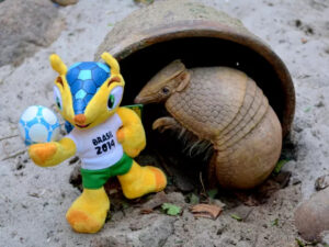 tatu bola fuleco