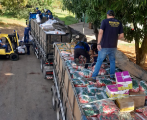 Fiscalização apreende R$ 2,6 milhões em mercadorias irregulares no DF