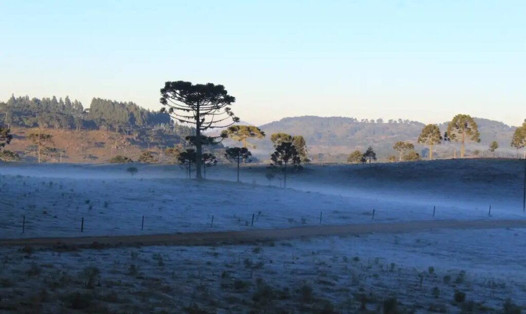 SC registra menor temperatura do ano e 44 cidades ficam abaixo de 0ºC