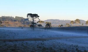 SC registra menor temperatura do ano e 44 cidades ficam abaixo de 0ºC