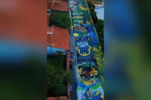 'Made in Goiás': arte de rua reúne Neymar, pequi e identidade goiana em Trindade
