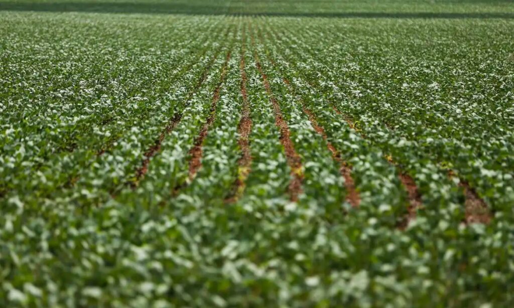 Governo e bancada do agro seguem sem acordo sobre dívidas rurais