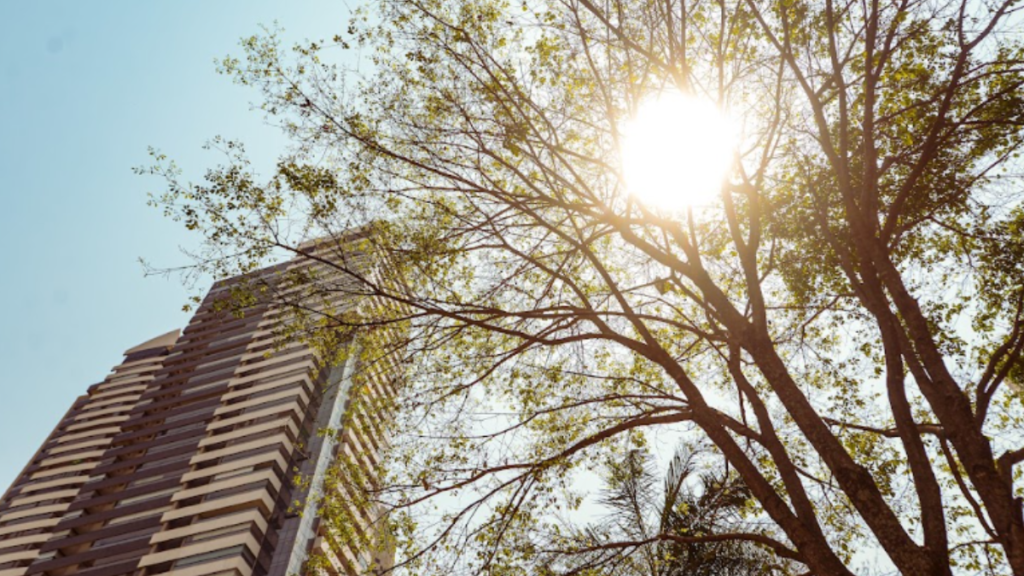 Goiás terá semana de calor, tempo seco e baixa umidade do ar