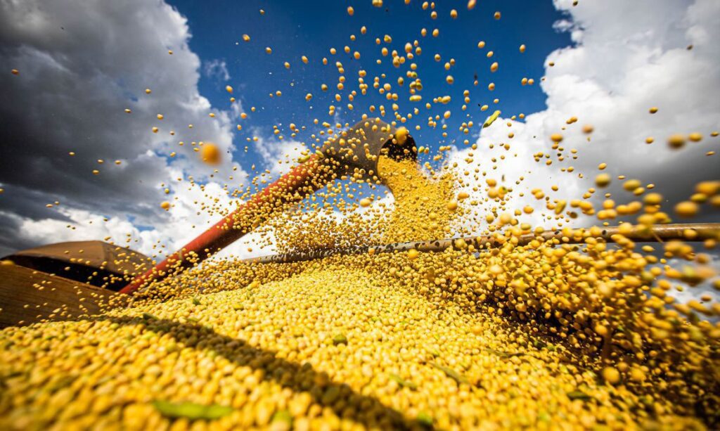 Plano Safra 2026/27 terá R$ 610,3 bilhões em recursos para agricultura empresarial e familiar