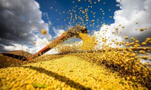 Plano Safra 2026/27 terá R$ 610,3 bilhões em recursos para agricultura empresarial e familiar