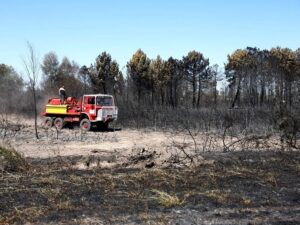 Incêndios na França e na Espanha forçam evacuação de dezenas de milhares de pessoas