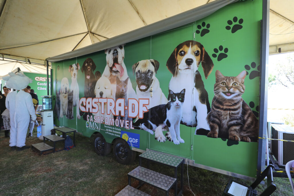 GDF oferece castração gratuita de animais no Recanto das Emas
