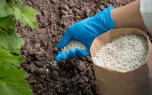 Fabricante de fertilizantes Mosaic reduz produção no Brasil por impactos da guerra no Irã