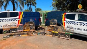 Fiscalização ambiental resulta na apreensão de aves e gaiolas no Gama