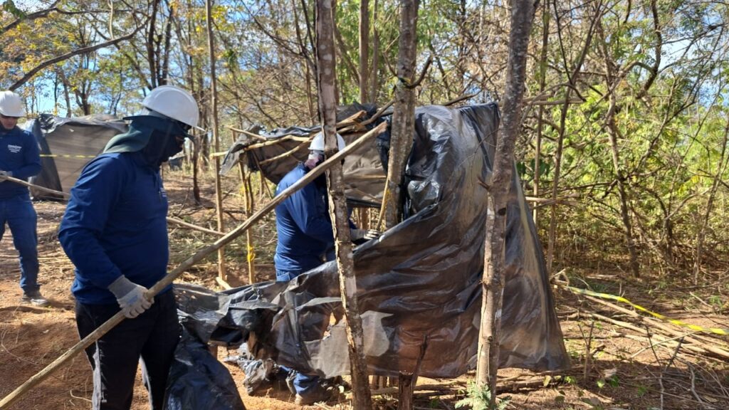 Grilagem ameaça área da APA do Planalto Central próxima ao Parque Nacional de Brasília