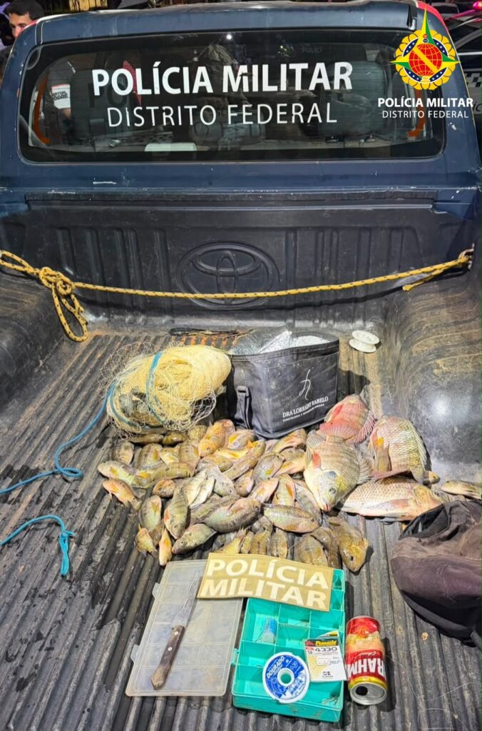 PMDF flagra transporte ilegal de 72 peixes e leva suspeitos à delegacia no Gama