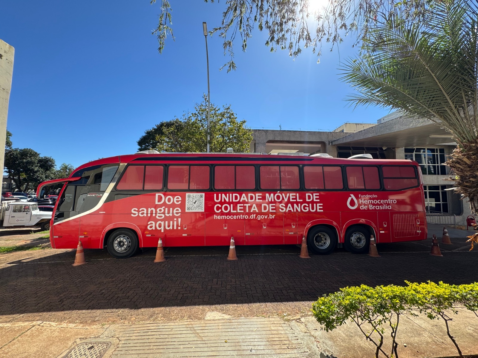 Hemocentro de Brasília promove doação de sangue em Ceilândia nesta terça-feira (28)