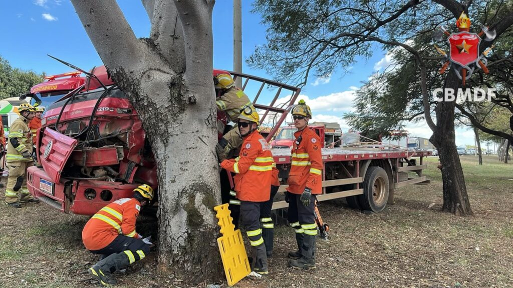 Duas pessoas ficam feridas após caminhão colidir contra árvore na EPIA Norte