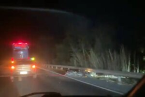 Motociclista morre após bater de frente com cavalo na BR-020