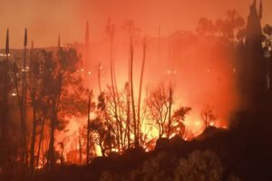 Onda de calor na Europa e nos EUA provoca mortes e incêndios florestais