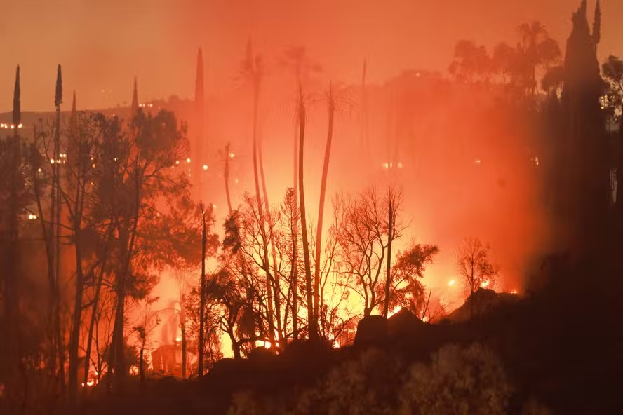 Onda de calor na Europa e nos EUA provoca mortes e incêndios florestais