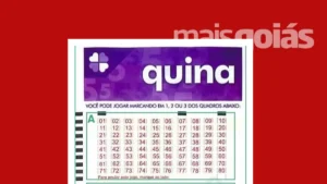 Quina 7063: resultado e prêmios para Goiás (Foto: Mais Goiás)