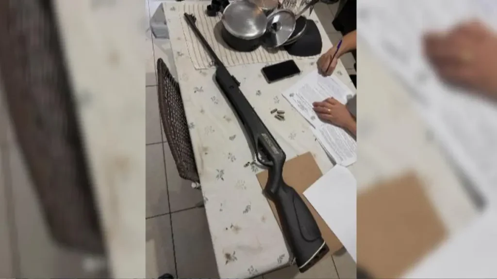 Arma de fogo apreendida - (Foto: reprodução/PC)