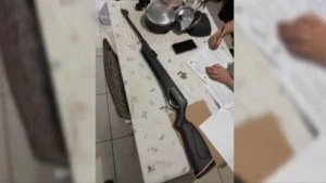 Arma de fogo apreendida - (Foto: reprodução/PC)