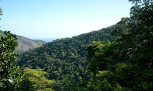 Plano de transformação ecológica mobiliza mais de R$ 500 bilhões