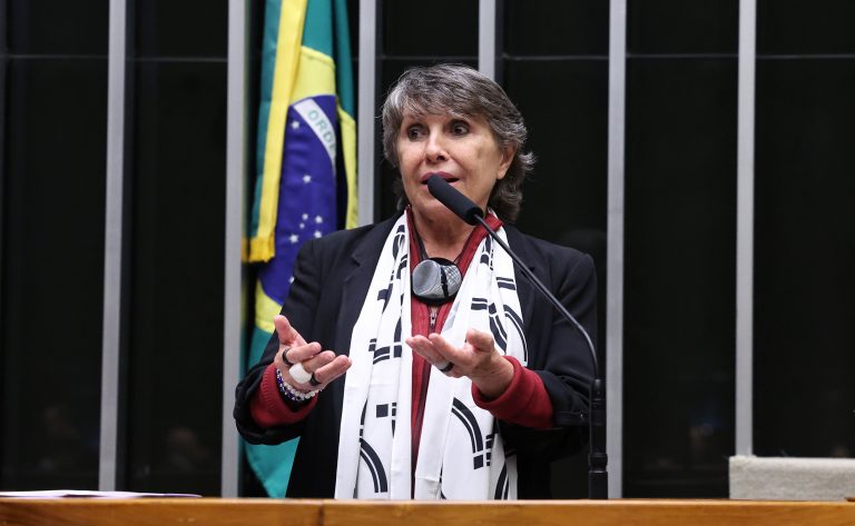 Discussão e votação de propostas legislativas. Dep. Erika Kokay (PT - DF)