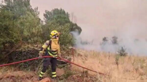 Homem é preso por iniciar ‘pior incêndio da história’ na região de Madri