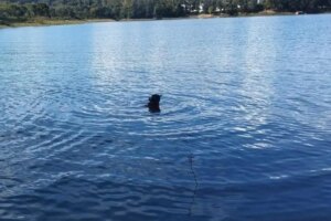 Adolescente e mulher são encontrados mortos em lago de Caldas Novas