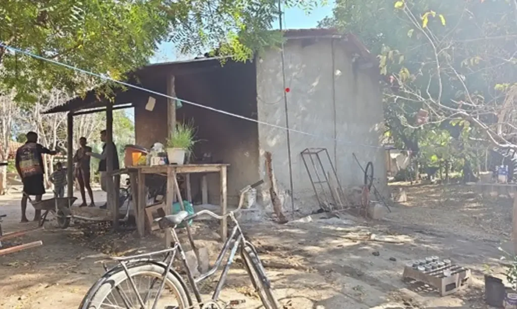 Força-tarefa resgata 89 trabalhadores em colheita de café em Minas
