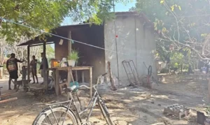 Força-tarefa resgata 89 trabalhadores em colheita de café em Minas
