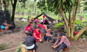 Mulheres da Amazônia criam soluções contra as mudanças climáticas