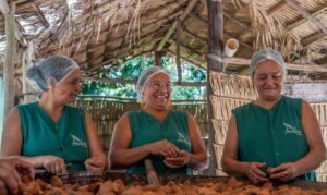 Biocosméticos unem tradição ribeirinha e ciência no oeste do Pará