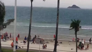 Uma pessoa morreu após ser atingida pela queda de uma árvore em Santos